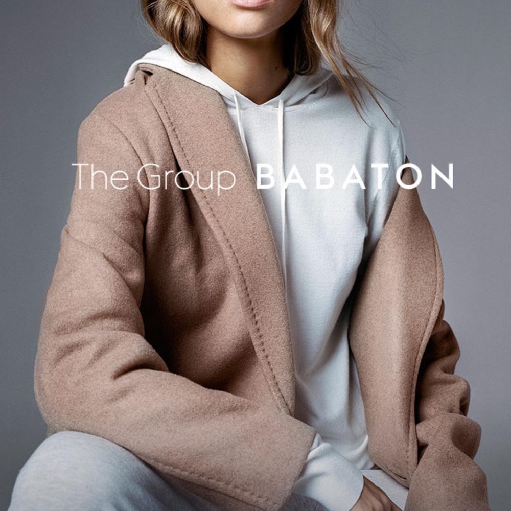 Aritzia Ginsburg Hoodie (The Group by Babaton)